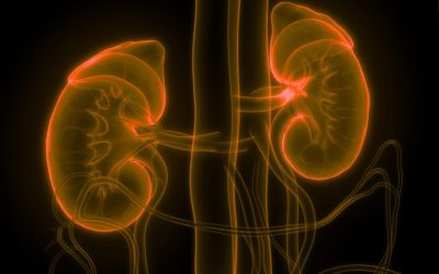 L’esaurimento surrenale