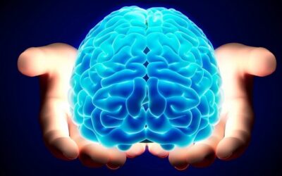 Cervello grasso e omega 3